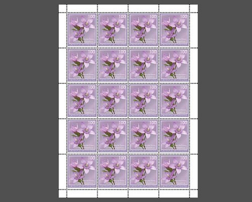 Alpenblumen