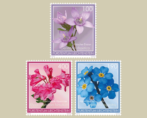 Alpenblumen