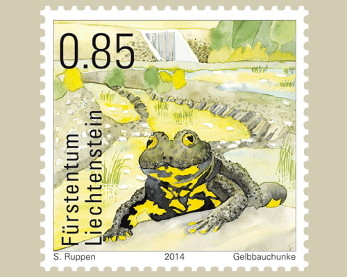 Amphibians