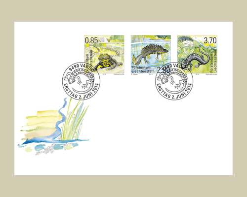 Amphibiens