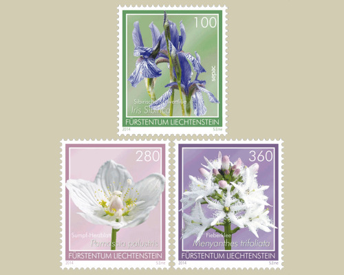 Moorblumen