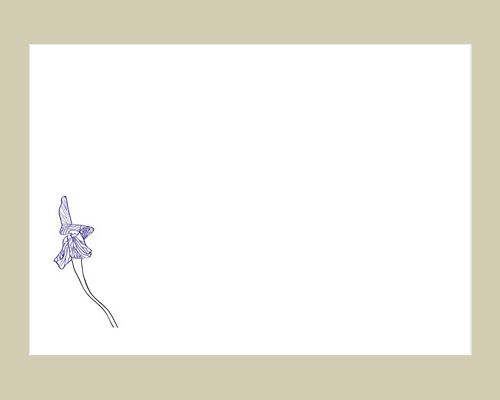 Moorblumen