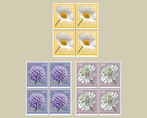 Fleurs des prairies maigres