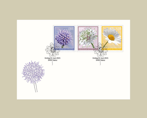 Fleurs des prairies maigres