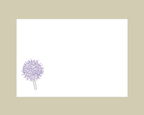 Fleurs des prairies maigres