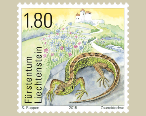 Reptiles