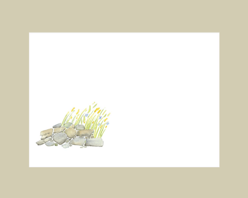 Reptiles