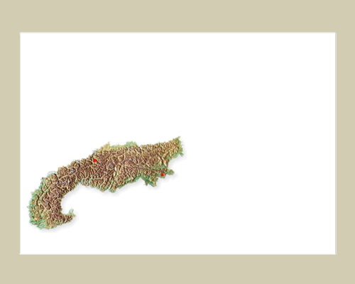Joint issue with Slovenia