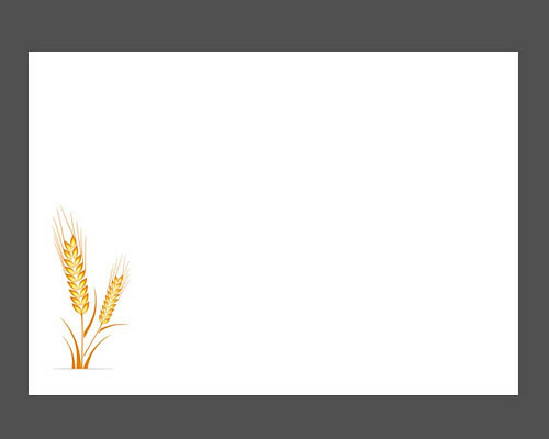 Plantes cultivées - Céréales