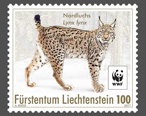 WWF - Rückkehrer