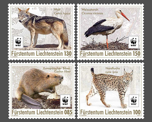 WWF - Returnees