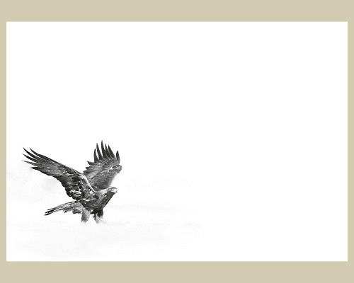 Europa – Oiseau national
