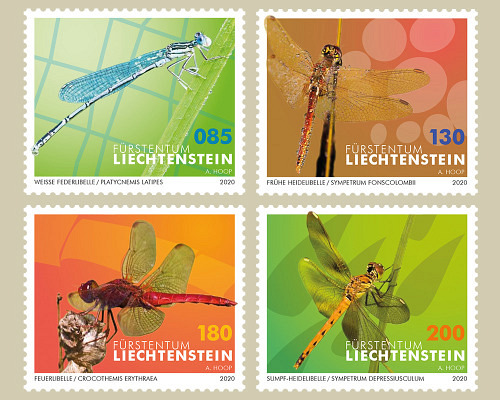 Dragonflies – II