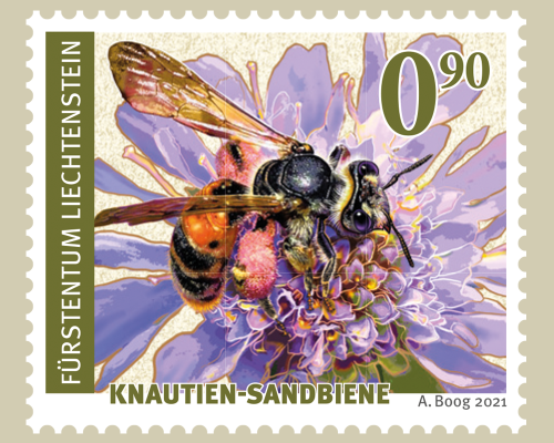 Wildbienen