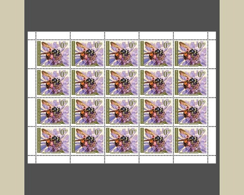 Wildbienen