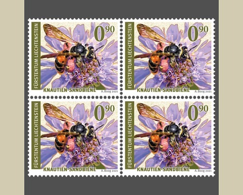 Wildbienen