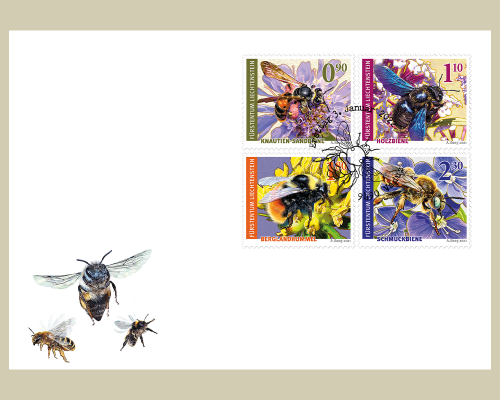 Wildbienen