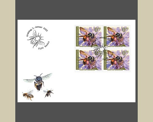 Wildbienen