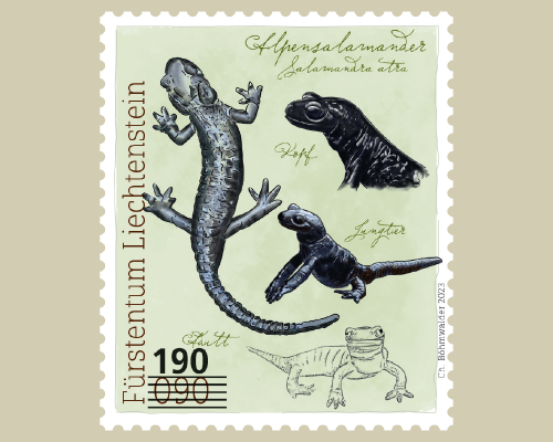 Provisorien