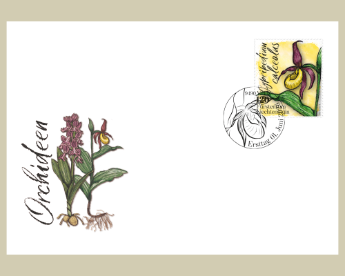 Orchideen