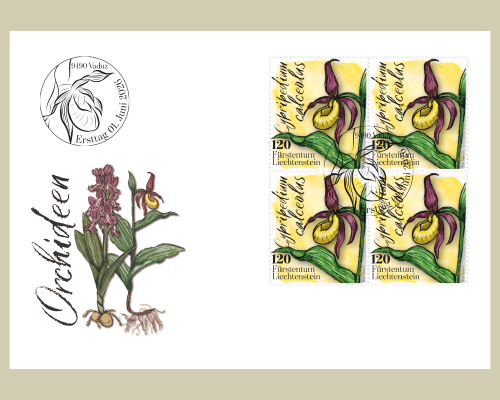 Orchideen