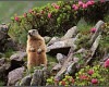 Bild 8 von 9