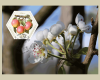 Bild 8 von 9