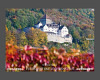 Bild 2 von 2