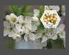 Bild 8 von 9