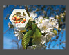 Bild 9 von 9