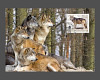 Bild 4 von 5