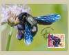 Bild 3 von 5
