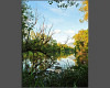 Bild 4 von 5