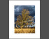 Bild 3 von 6
